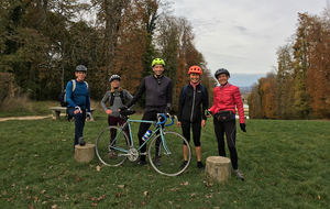 PArc de marly le 5-11