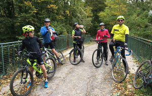 dans la foret de Saint Germain 